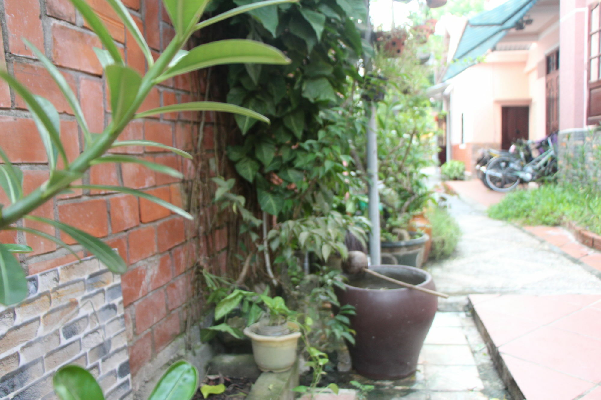 Red Ceramics Homestay Hoi An Eksteriør billede