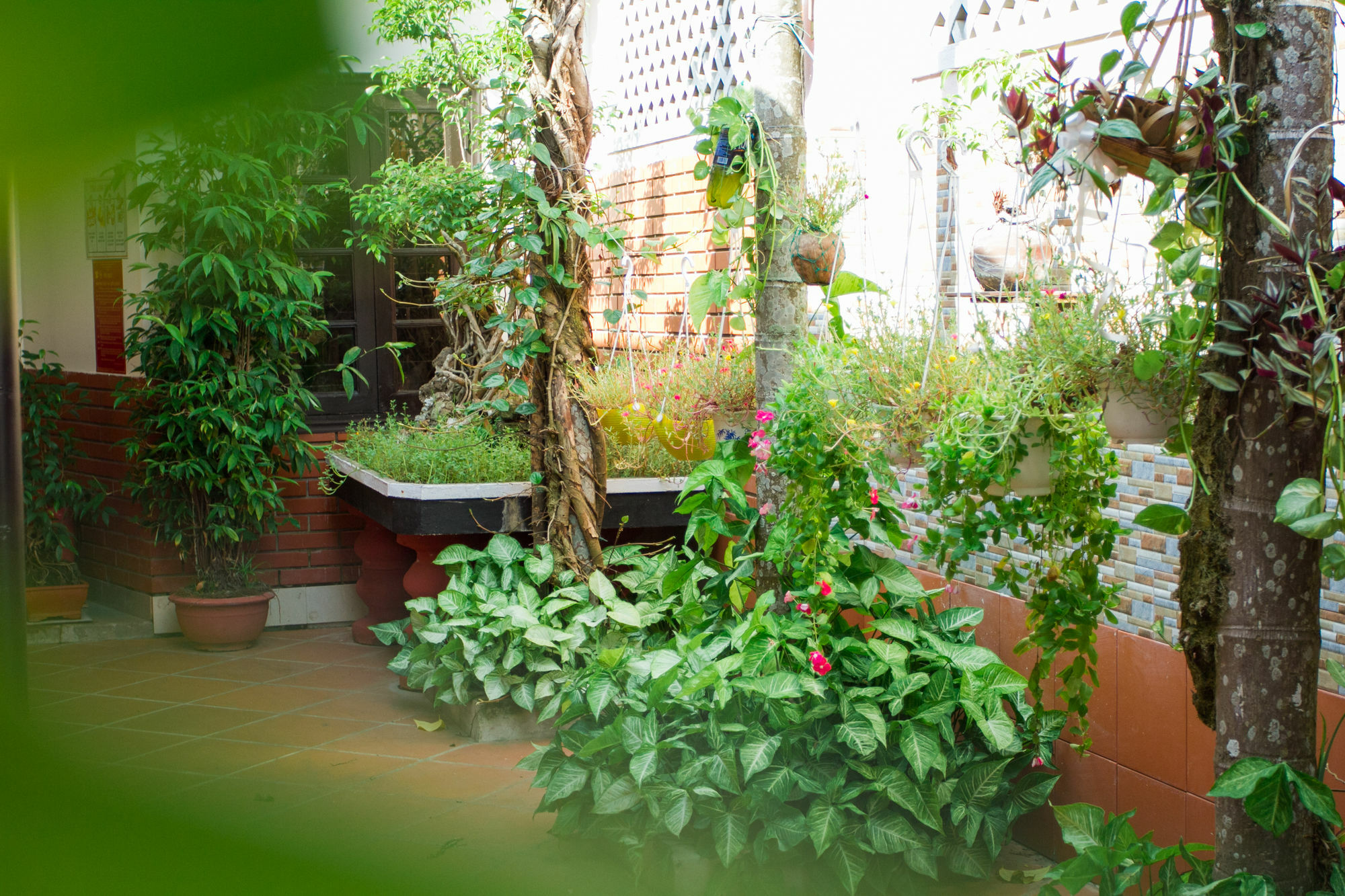 Red Ceramics Homestay Hoi An Eksteriør billede