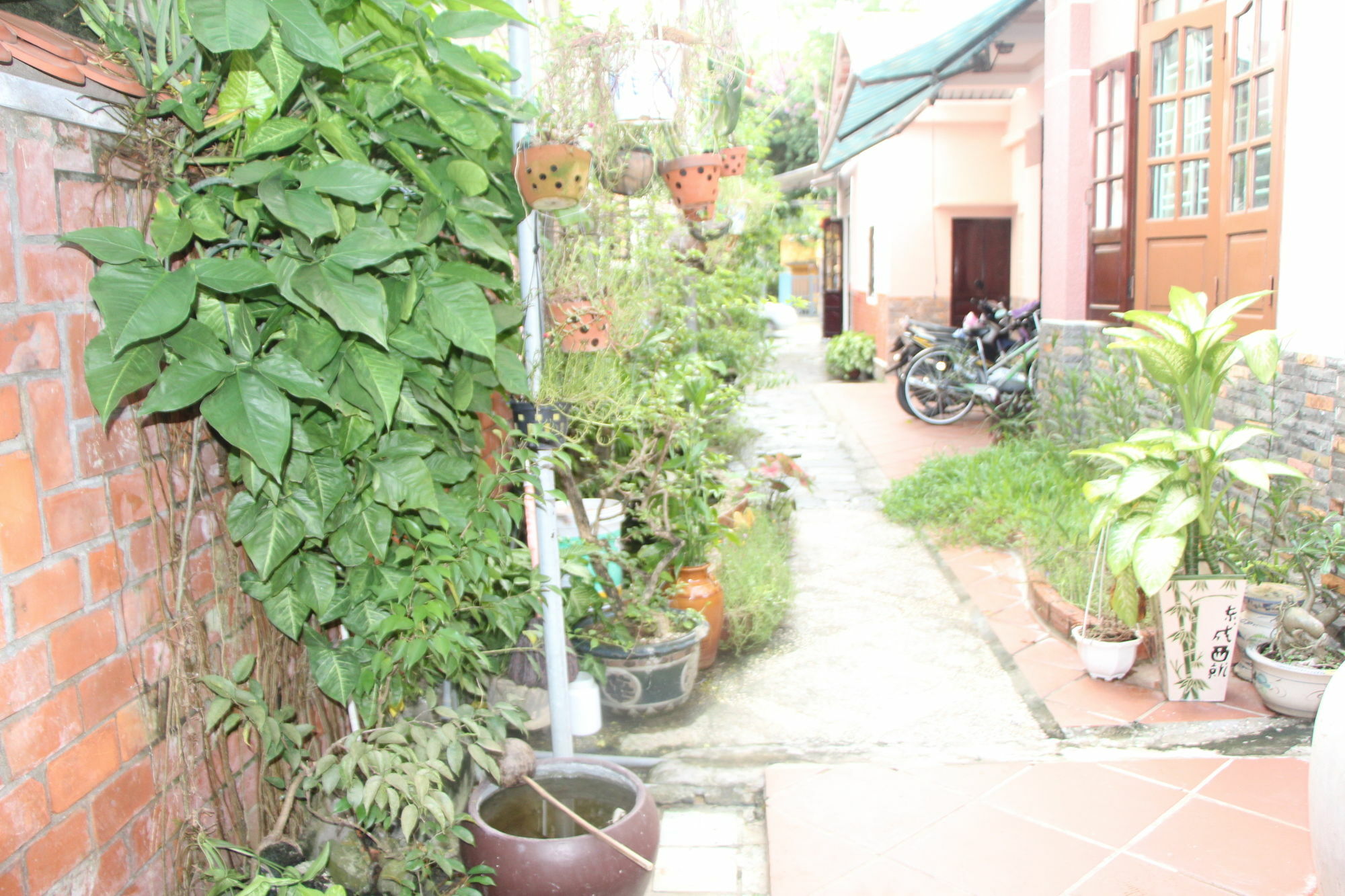 Red Ceramics Homestay Hoi An Eksteriør billede